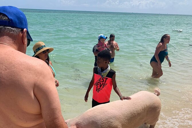Ultimate SeaXscape Pigs/Turtles/Snorkel/Lunch/Drinks/PU/DO - A glimpse of Gilligan’s Island